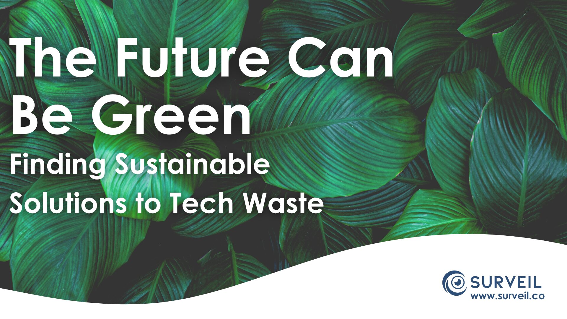 The Future Can Be Green: Finding Sustainable Solutions to Tech Waste